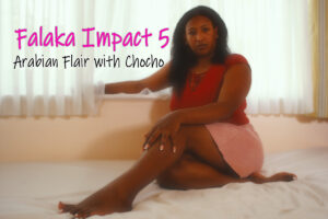 Falaka Impact 5 - Arabian Flair with Chocho