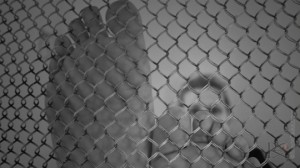 Hide Behind Grid Wire