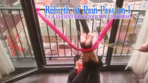 Rebirth of Pain Passion 1 Falaka Video