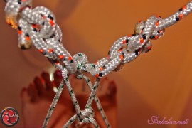 bastinado-for-high-heels-101