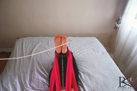 excruciating-falaka-px-154