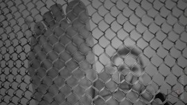 hide-behind-grid-wire