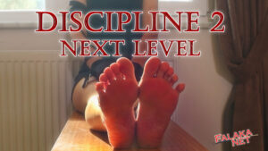 Discipline 2 - Next Level