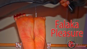 Falaka Pleasure HD Cover