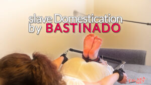 slave domestication by bastinado cover